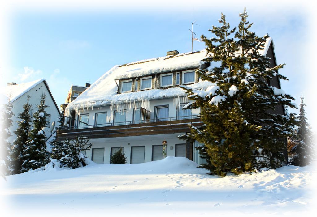 Wietheger'S Gaestehaus Centrum Willingen  Ruang foto